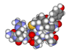 vasopressin.png