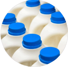Dairy