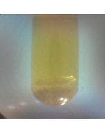 Discover Integrated Camera Option