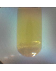 Discover Integrated Camera Option