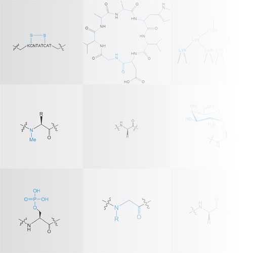 Synthesize Phosphopeptides, Glycopeptides, Branched Peptides, PNA, Peptoids and More