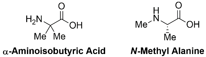 Sterically-hindered, non-standard amino acids