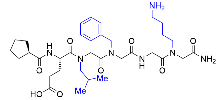 Target Peptoid-Peptide Hybrid: Pro-Glu-(NLeu)-(NPhe)-Gly-(NLys)- NH2