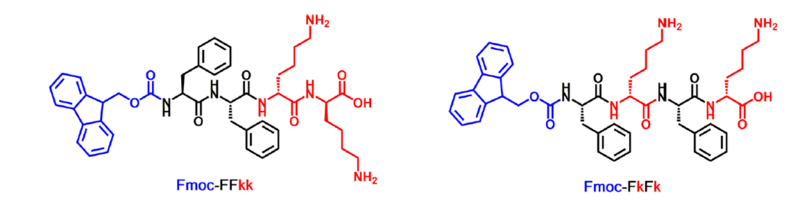 Lysine containing tetrapeptides Fmoc-Phe-Phe-Lys-Lys and Fmoc-Phe-Lys-Phe-Lys