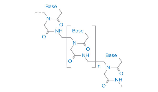 Peptide Nucleic Acid (PNA) Synthesis